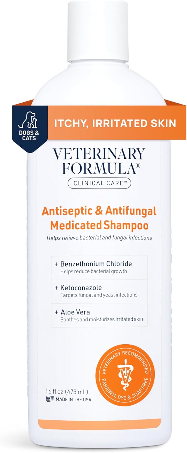 Veterinary Formula Clinical Care Champú Medicado Antiséptico y Antifúngico para Perros y Gatos, 16 Fl Oz