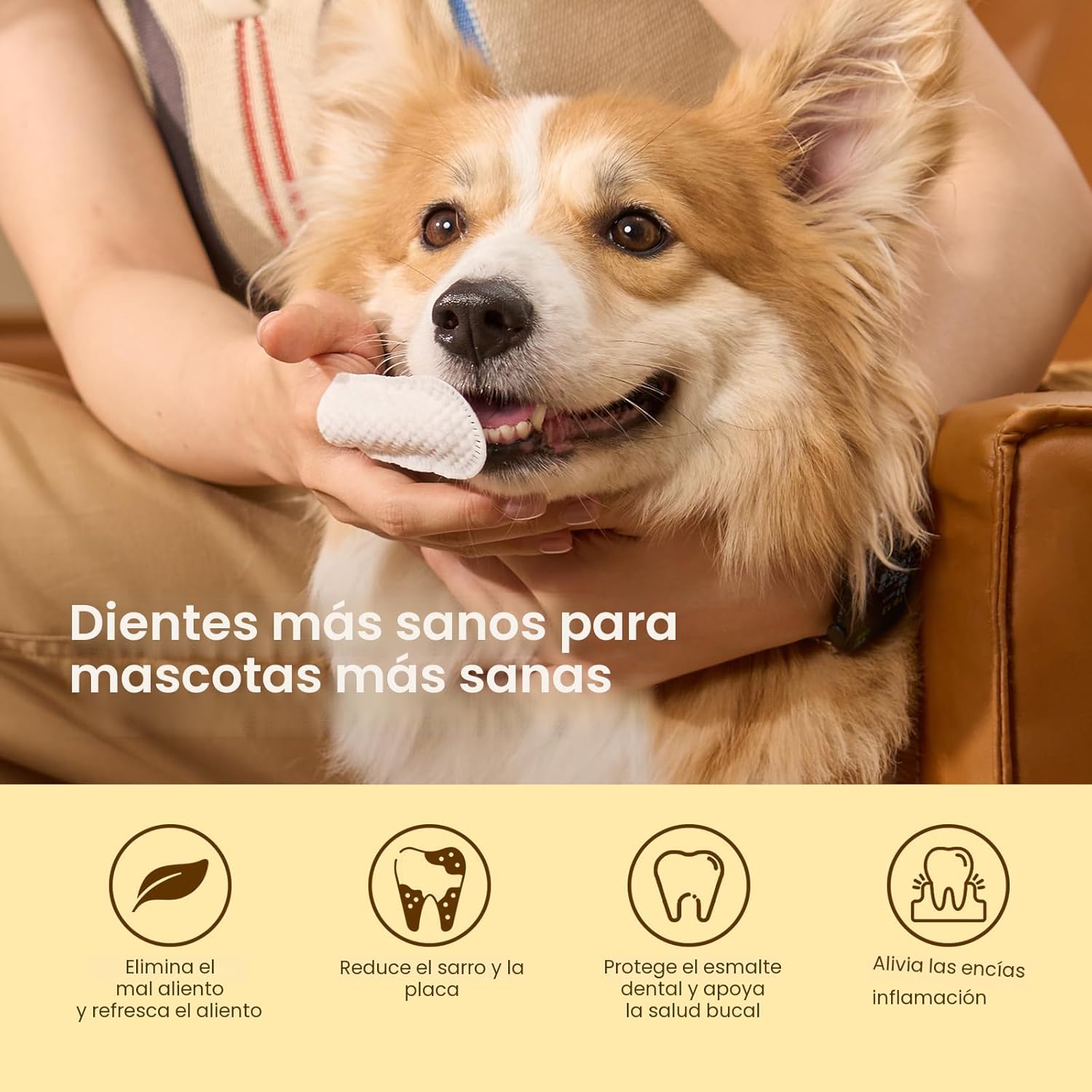 HICC Pet Toallitas de limpieza de dientes para perros y gatos