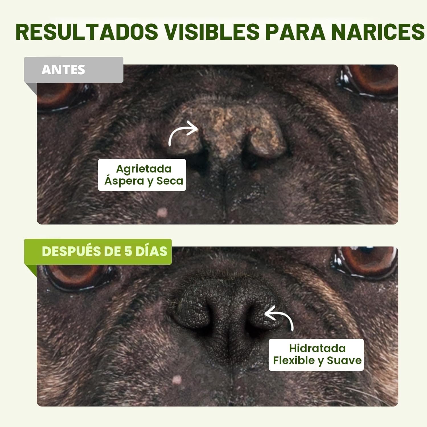 Bálsamo para patas y nariz de perro seguro para lamer con aceite de coco  60gr