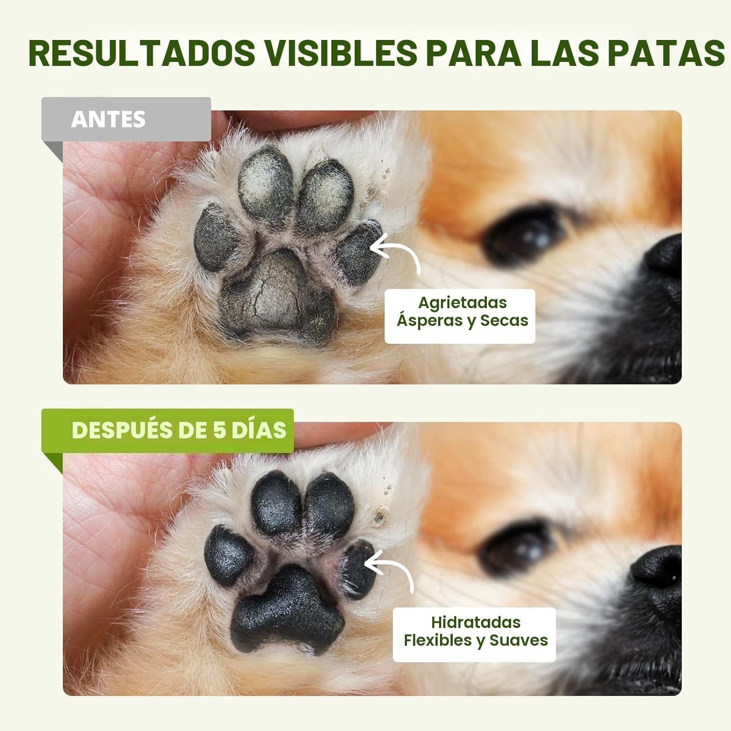 Bálsamo para patas y nariz de perro seguro para lamer con aceite de coco  60gr