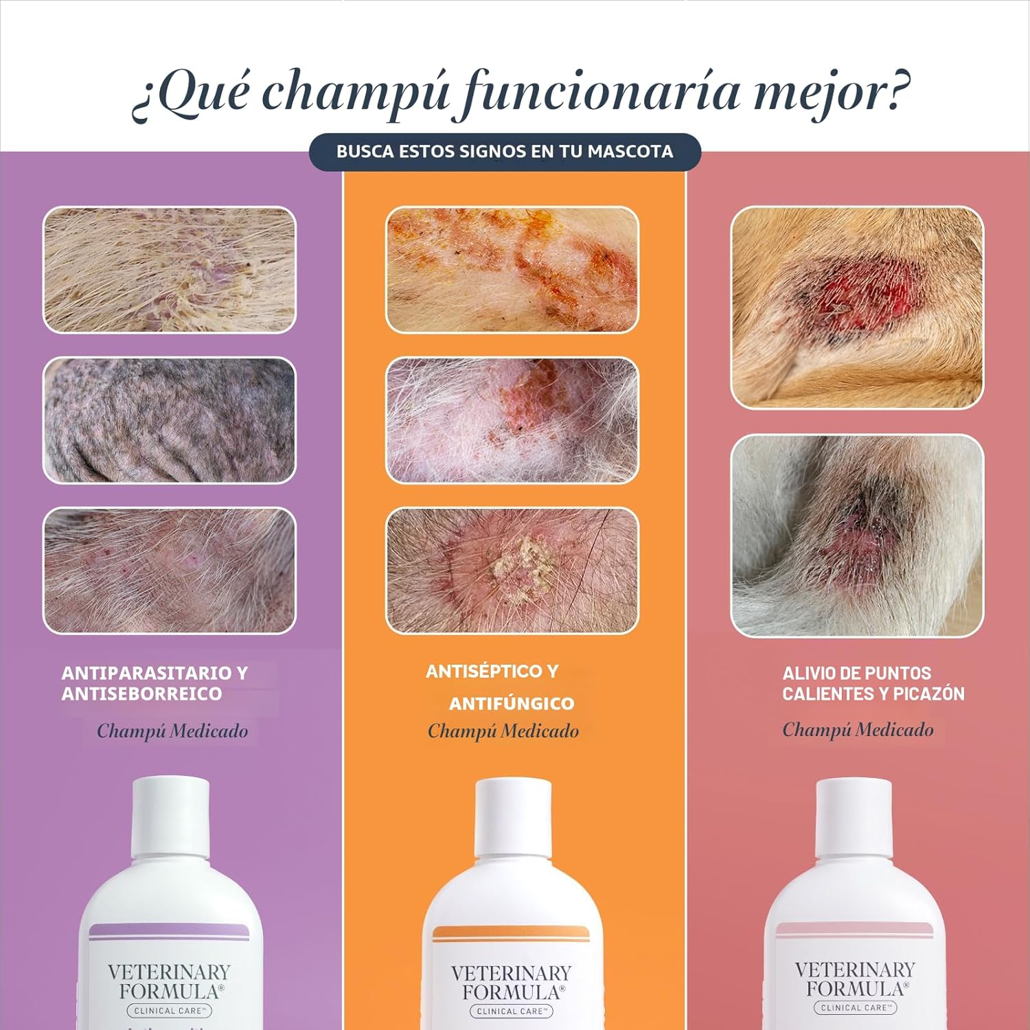 Veterinary Formula Clinical Care Champú Medicado Antiséptico y Antifúngico para Perros y Gatos, 16 Fl Oz