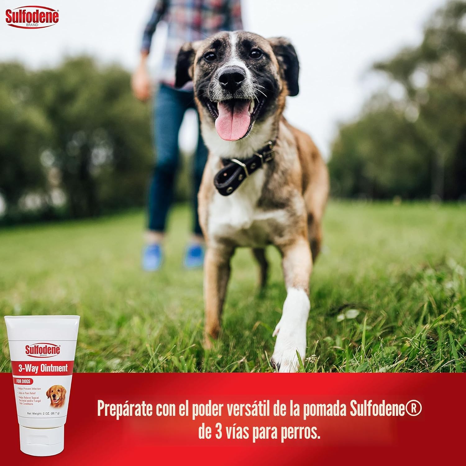 Sulfodene, pomada de 3 vías para perros 56.7 gr